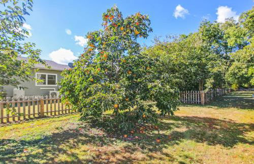 Crepe Myrtle - Foto 51