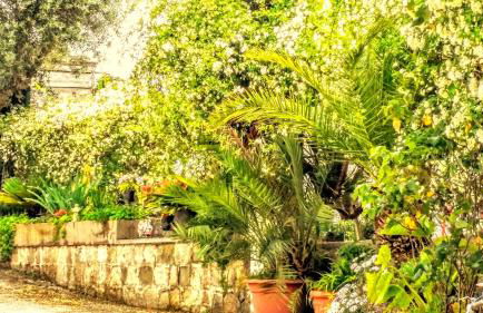 Casa Filomena - Foto 11