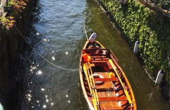 Villa Angela Maria - Brienno by LoveComo - Foto 50