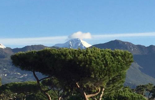 Riviera Residence - Foto 33