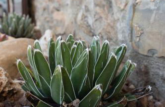 Agave Residence House 13 - Foto 25