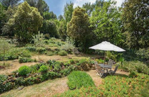 Lou Romarin - Photo 7