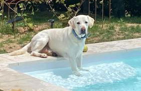 Casa Rural Teja Vieja - Foto 23