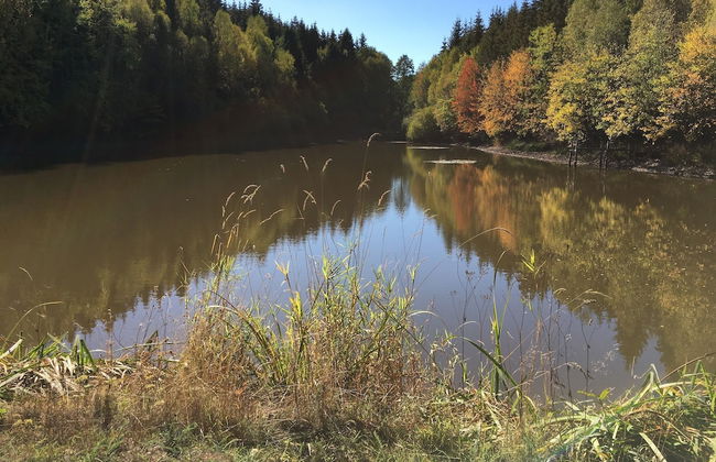 Ferienhaus im Harz Nahe Skipisten - Foto 30