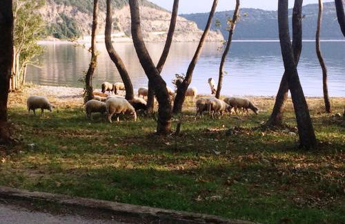 Steinturm mit Dach-Terrasse zwischen Fluß, Meer und Gebirge- Spiti Pirgos - Foto 59