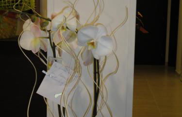 Residence Della Vista - Foto 20