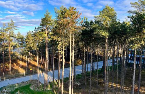 Rogowo Shellter Apartament Premium przy plaży - Foto 33