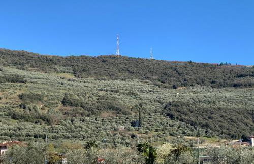 Jupiter's Hill - Foto 17