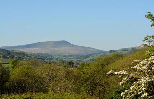 Snug Oak Hut with a view on a Welsh Hill Farm - Photo 23
