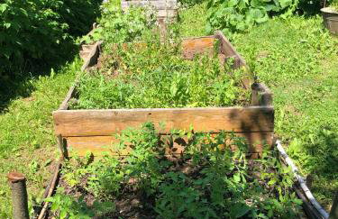 Czytelnia w Sadzie - Foto 38