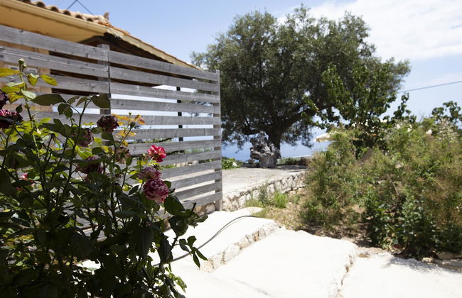 Anemos Studio - Foto 29