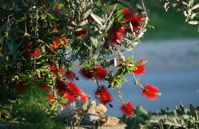 Detached House Miketa - Foto 43