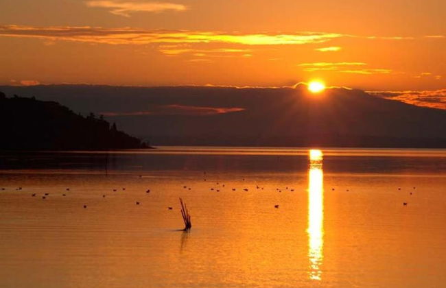 Stay With Local Flavors - Photo 33