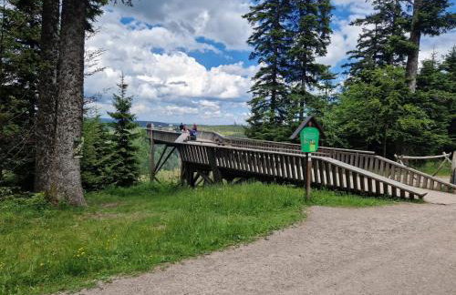 Ferienwohnungen Nordschwarzwald - Photo 4