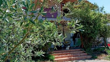 Rural hοuse - Foto 3, Garden