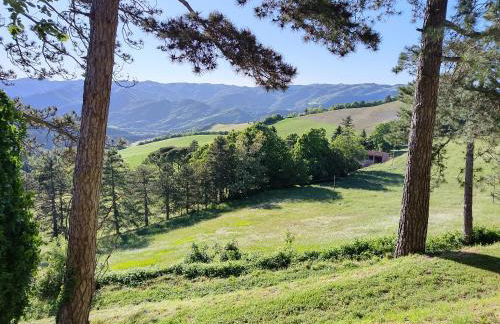 Podere Casone - Foto 11