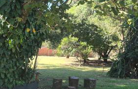 Chácara Santo Antonio - Foto 64