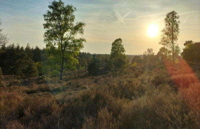 Holiday Home in Haarle Near Sallandse Heuvelrug - Foto 28