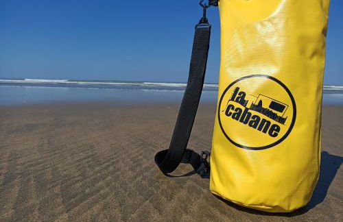 Pomme de Pin et Mimosa - Foto 1