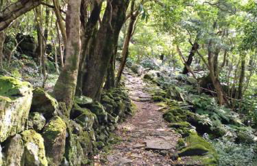 Alojamento Local M&I - Foto 35