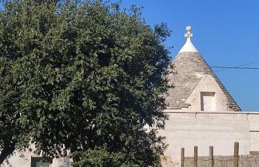 Domus Petri 1908 - Foto 75