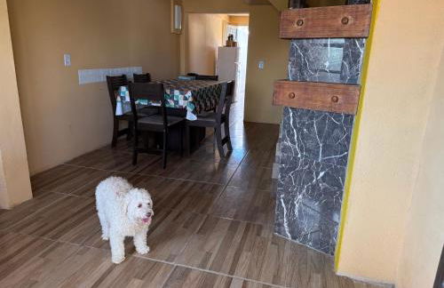 Marvira Barra del Chuy - Foto 22