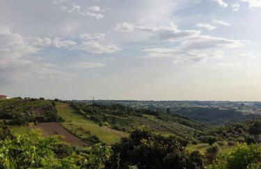 Casa sossegada na Batalha - Foto 8