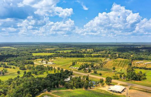 Horses Welcome Pittsburg Home Near Wineries! - Foto 2