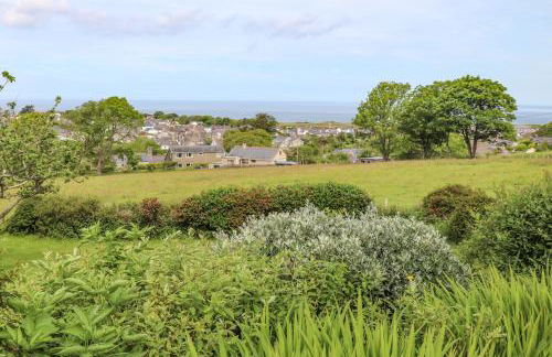 Fron Fawr - Photo 33