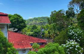 Casa Amarela Alter - Foto 28