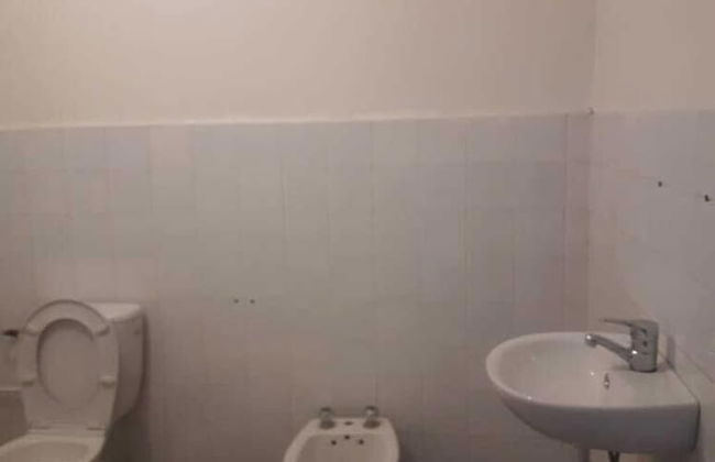 Paloma Pied Sur Sable - Foto 6