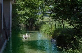 Corte Mainolda - Foto 63