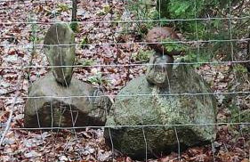 Dom za wydmą - Foto 69