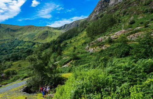 Bwthyn Llys Machynlleth Old Court House - Foto 17