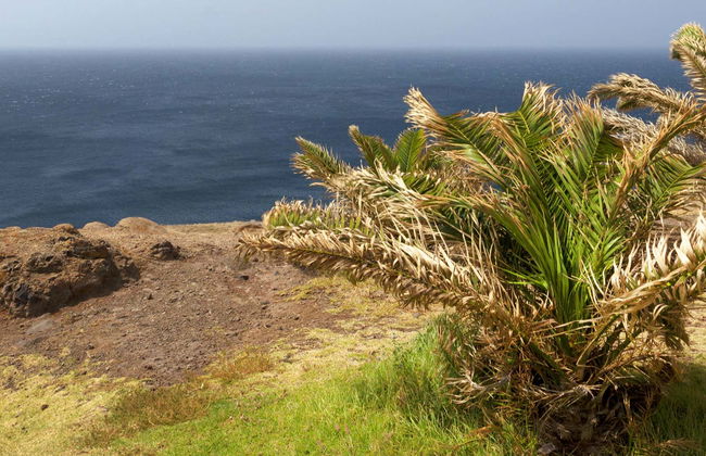 Excursión a Punta de San Lorenzo + Kayak y snorkel - Foto 10