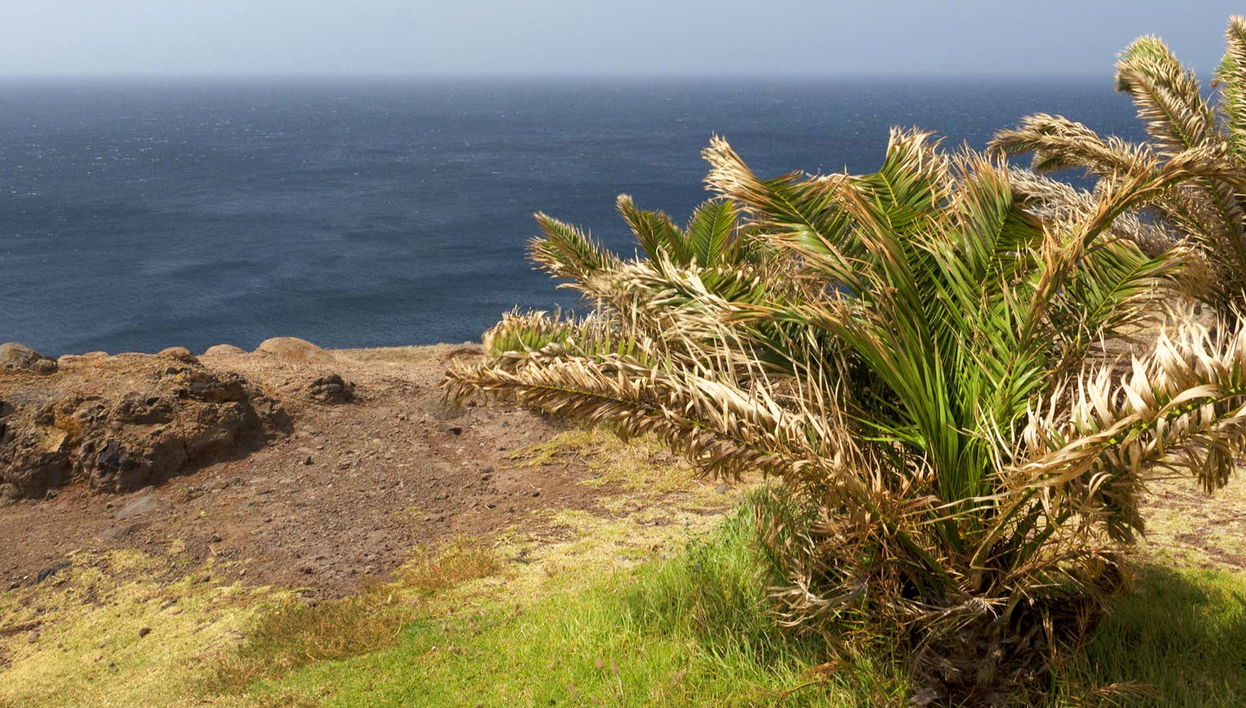 Ponta de São Lourenço + Kayaking & Snorkeling Tour - Foto 1