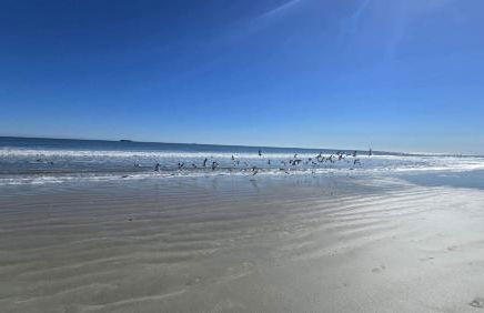 Royal Mansions Beach Front Vacation - Foto 34