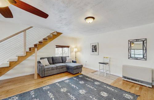 Little Black Bear - Foto 2