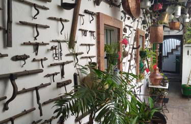 Casa Museo Jerez Centro - Foto 9