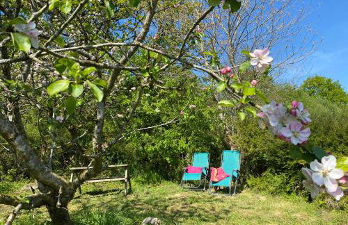 The Fabulous flower hut - Photo 6