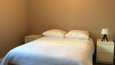 Appartement de 110m2 au centre de Cusset - Foto 3