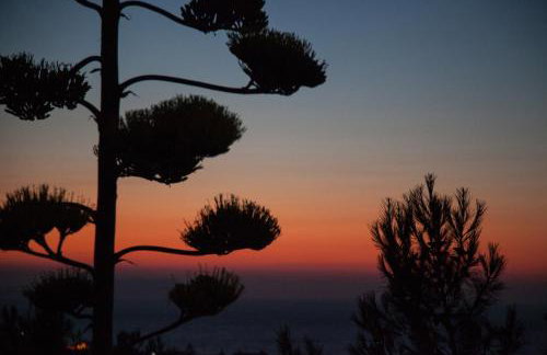 Villa Metochi - Foto 71