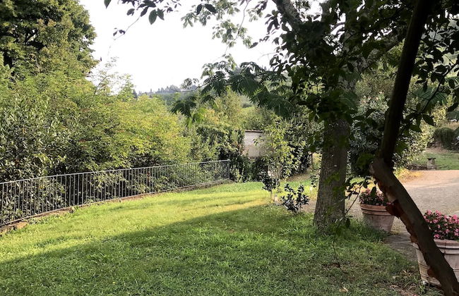 Il Pezzatino - Photo 68