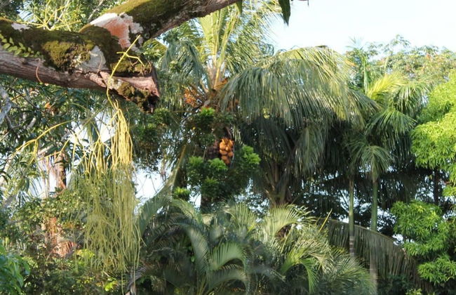 Very Charming 1-bed Studio-apartment in Paramaribo - Photo 20