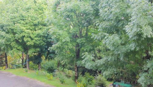 Apartment - ski slopes - Foto 4