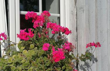 Ferienwohnungen Dornröschen - Foto 16