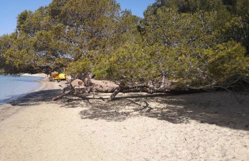 Une Nuit à Bali - Appartement cocooning - Foto 42