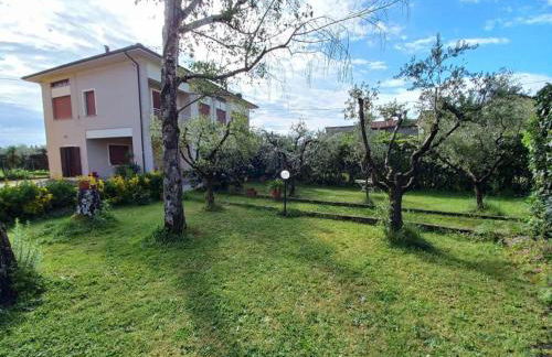 La Casa dell'Olivo - Foto 6