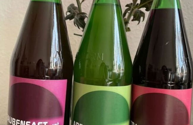 Kellerstockl am Hamerlberg/strem - Foto 14