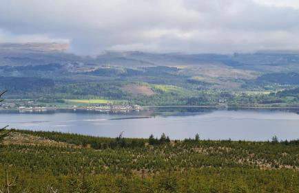 Thistle House Guest House - Foto 12